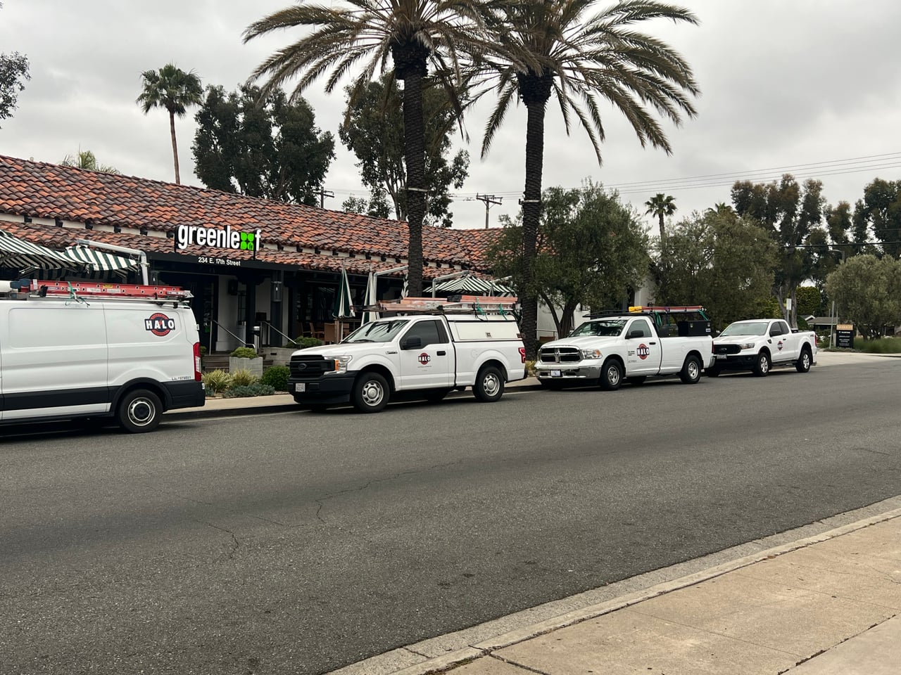 Halo Electric service van and three work trucks lined up outside a commercial property